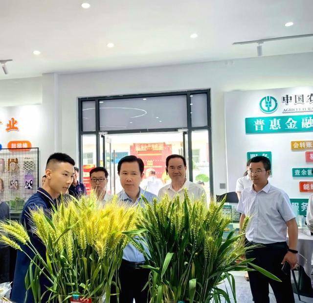 招——偃师选优配强基层治理生力军AG真人澳门百家家乐有人有力更有(图4)